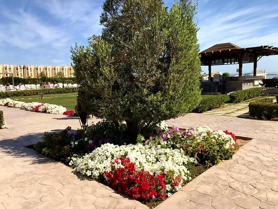 Appartement Apartments For Rent Samra Bay Hotel - Аренда Квартир В Отеле Samra Bay *